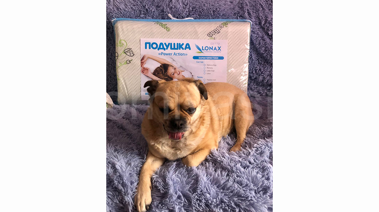 отзыв о Подушка Lonax Organic Ultra Memory Ergo